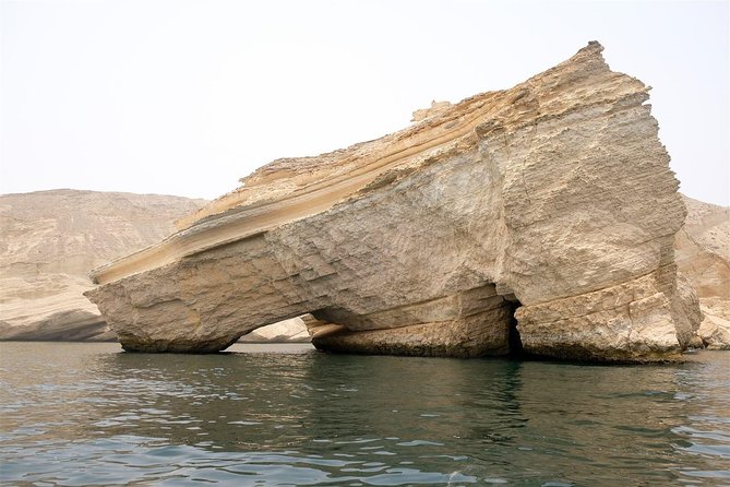 Oman Dolphin Watching Tours - What dolphins you might see