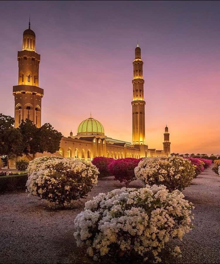 Oman:Group Muscat City Tour With Pick Up & Free Lunch/Dinner - Starting at Sultan Qaboos Grand Mosque