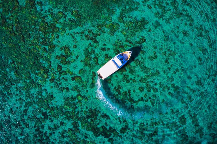 Oman: Snorkeling Trip at Daymaniyat Islands - How comfortable and well supported is the outing?