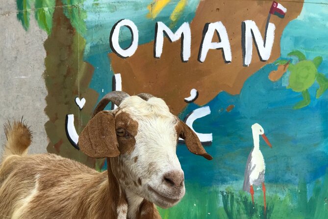 Private 2 Day Wadi Shab and Bimmah Sinkhole Tour - Sur, wooden dhows, and Qalhat