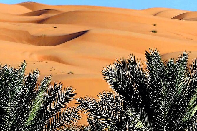 Private 2 Days 1 Night Wahiba Sands Desert and Wadi Bani Khalid Tour - Leaving Muscat for Wadi Bani Khalid