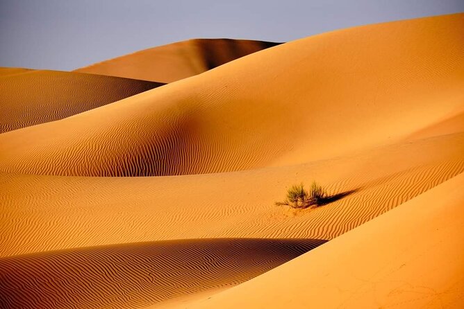 Private 2 Days 1 Night Wahiba Sands Desert and Wadi Bani Khalid Tour - Sunset on the Wahiba dunes