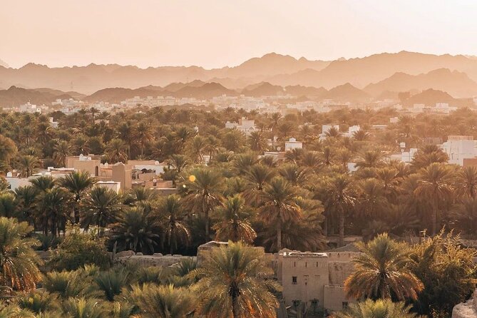 Private Day Tour to the Enchanting Forts of Nizwa - What the private format really adds