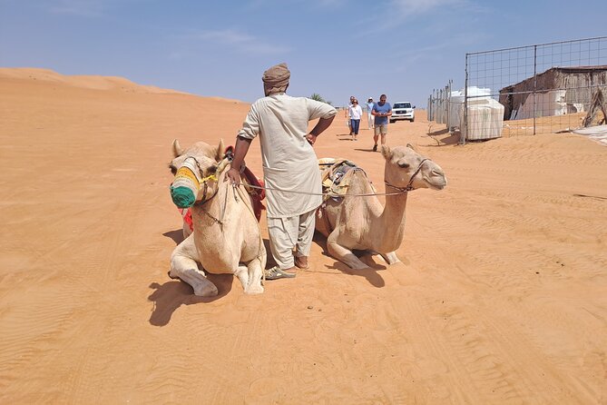 Private Desert and Wadi Tour in Oman - Is $300 good value for two people?