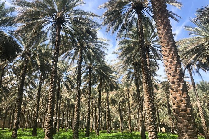 Private Friday Cattle Market-Nizwa and Jebel Akhdar-Full-Day Tour - What the private 4WD format adds