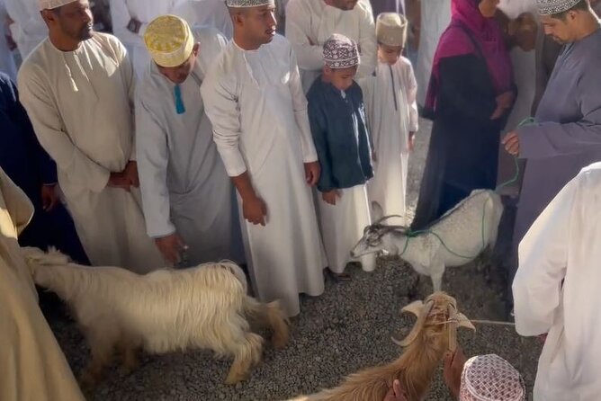 Private Friday Cattle Market-Nizwa and Jebel Akhdar-Full-Day Tour - Nizwa Fort and the city’s defensive past