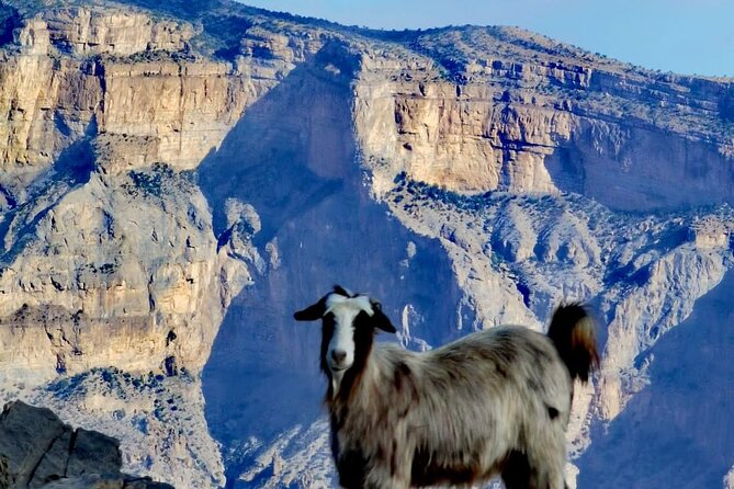 Private Full Day Guided Balcony Walk Hiking to Jebel Shams - What the private format adds