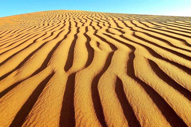 Private Full Day Private Desert Safari Tour - Camel Riding and Time for Desert Photos