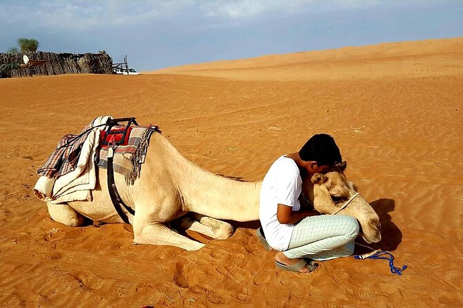 Private Full Day Private Desert Safari Tour - Three Hours at Wadi Bani Khalid