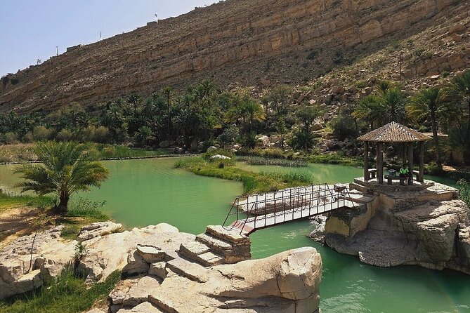 Private Full Day Private Desert Safari Tour - A Bedouin House, Omani Coffee, and Dates