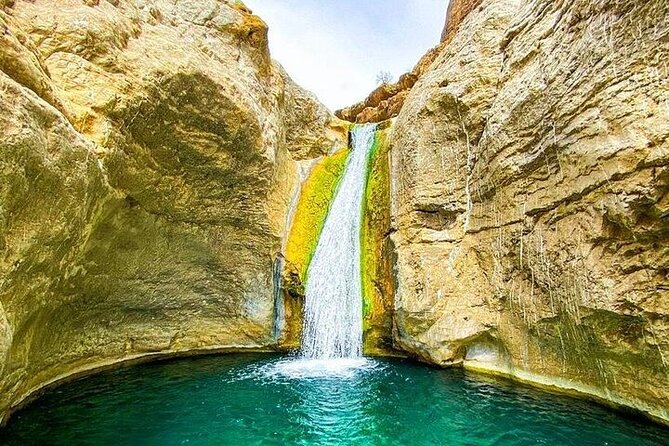 Private Full Day Tour to Wahiba Sands Desert and Wadi Hawer - Is $183.60 per person a fair price?