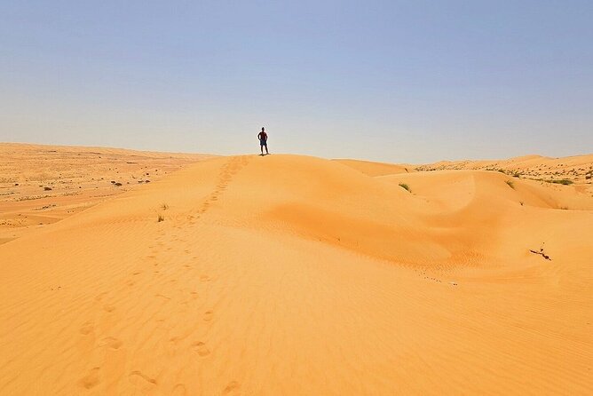 Private Full Day Tour to Wahiba Sands Desert and Wadi Hawer - Practical details that affect the day