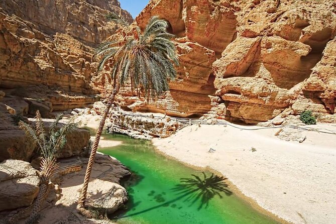 Private Full-Day Wadi Shab and Bimmah Sinkhole Tour - The cave swim adds a real sense of adventure