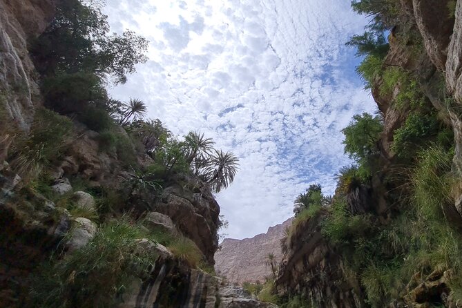 Private Full-Day Wadi Tiwi and Bimmah Sinkhole Tour from Muscat - Bimmah Sinkhole: a one-hour stop with a striking shape