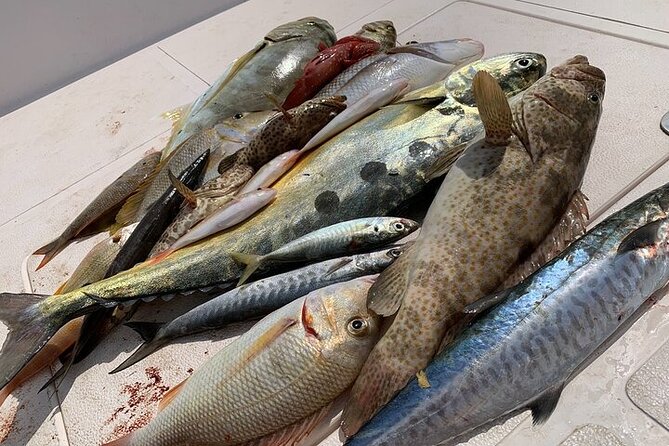 Private Game Fishing Trip with Sightseeing in Muscat - What the sightseeing adds