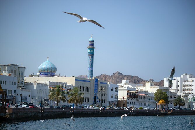 Private Half-day Tour in Muscat - Al Alam Palace and the waterfront setting
