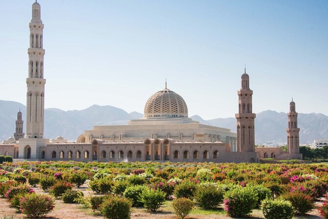 Private Half-Day Tour to Grand Mosque-Nakhal Fort and Hotspring - Why this Muscat half-day works