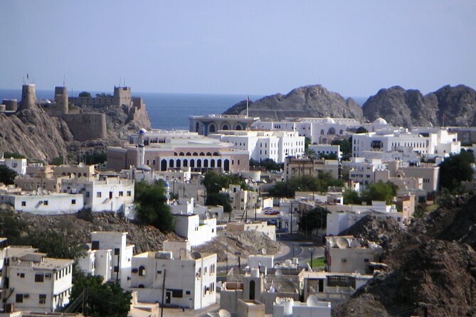 Private Muscat City Sightseeing Tour - A Fascinating Capital - Is $169 per person fair?