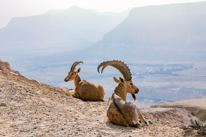Private Muscat tour to the Grand Canyon Nizwa - Al Hamra and the old mud-brick quarter