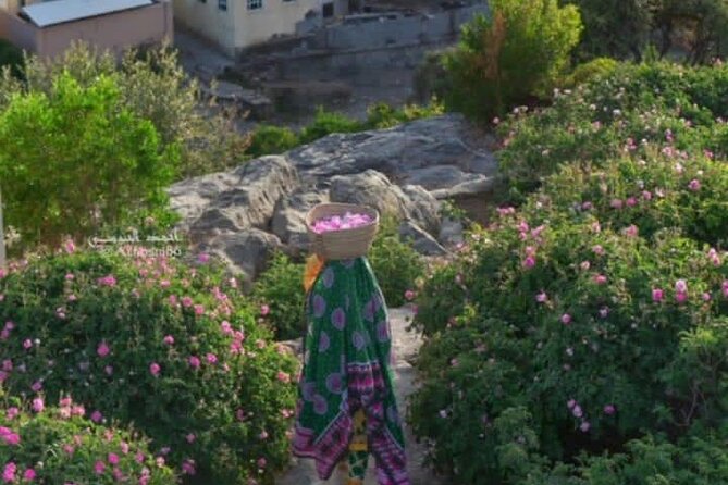 Private Oman Full Day Guided Sightseeing Tour - What the private format changes