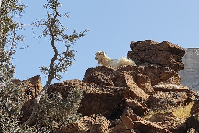 Private Overnight Jebel Shams Camping Tour - Bahla Fort and UNESCO heritage