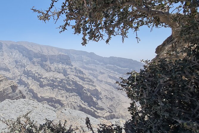 Private Overnight Nizwa & Jebel Akhdar Tour from Muscat - Jebel Akhdar Is the Reason to Stay Overnight