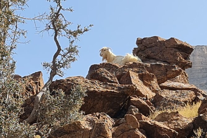 Private Overnight Nizwa & Jebel Akhdar Tour from Muscat - Bahla Fort Brings UNESCO Heritage Into the Afternoon