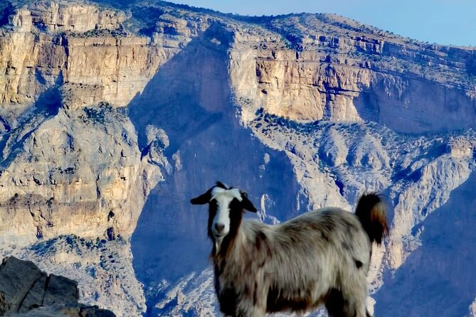 Private Overnight Nizwa & Jebel Akhdar Tour from Muscat - Misfat Al Abriyeen Rewards a Proper Walk