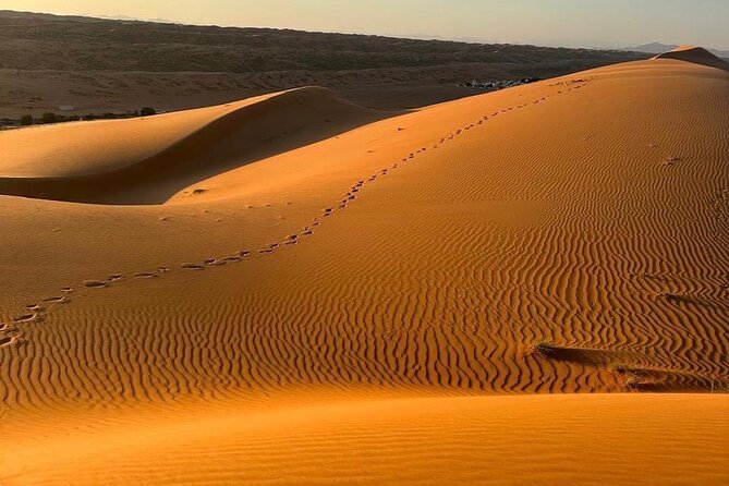 Private Safari tour and Wadi in 4x4 with a local guide - Key points before you book