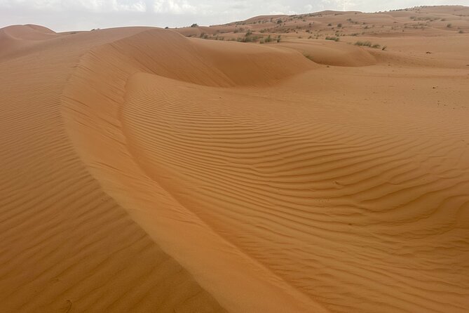 Private Safari tour and Wadi in 4x4 with a local guide - Wadi Bani Khalid: water, palms, and mountain walls