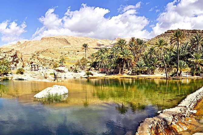 Private Safari Wahiba Sands and Wadi Bani Khalid from Muscat - What the private 4x4 adds