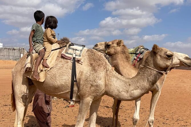 Private Sunset Watching Desert Safari with Dinner - The short camel ride and the sunset climb