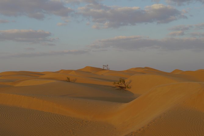 Private tour - Empty Quarter desert adventure - Wadi Dawka + Ubar - The guides can shape the day