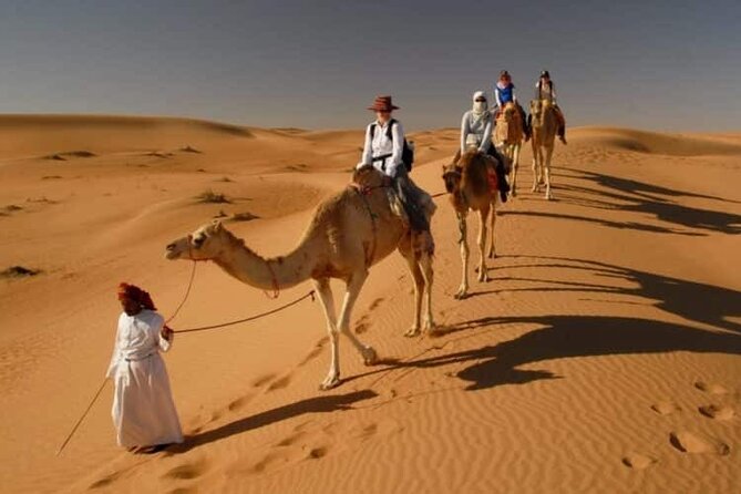 Private Transfer from Muscat to Wahiba Sand Desert by 4WD Vehicle - Key points at a glance
