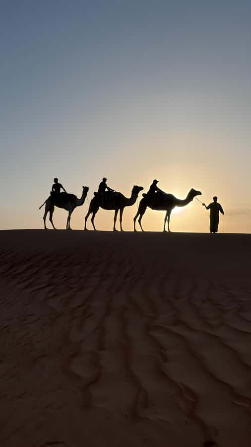 Safari World Zoo and Wahiba Sands with Sunset - Key points at a glance