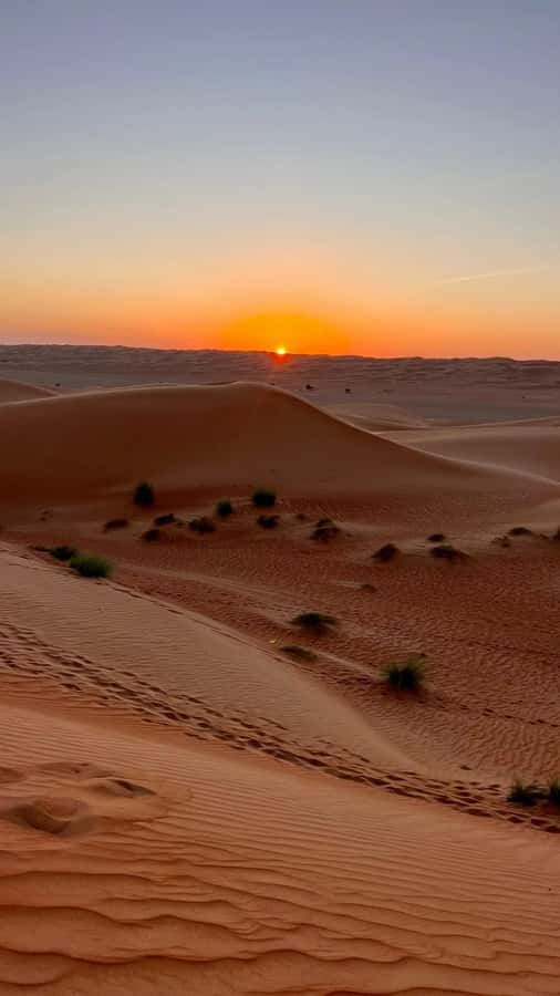 Safari World Zoo and Wahiba Sands with Sunset - Dinner under the stars at Sama al Wasil Camp