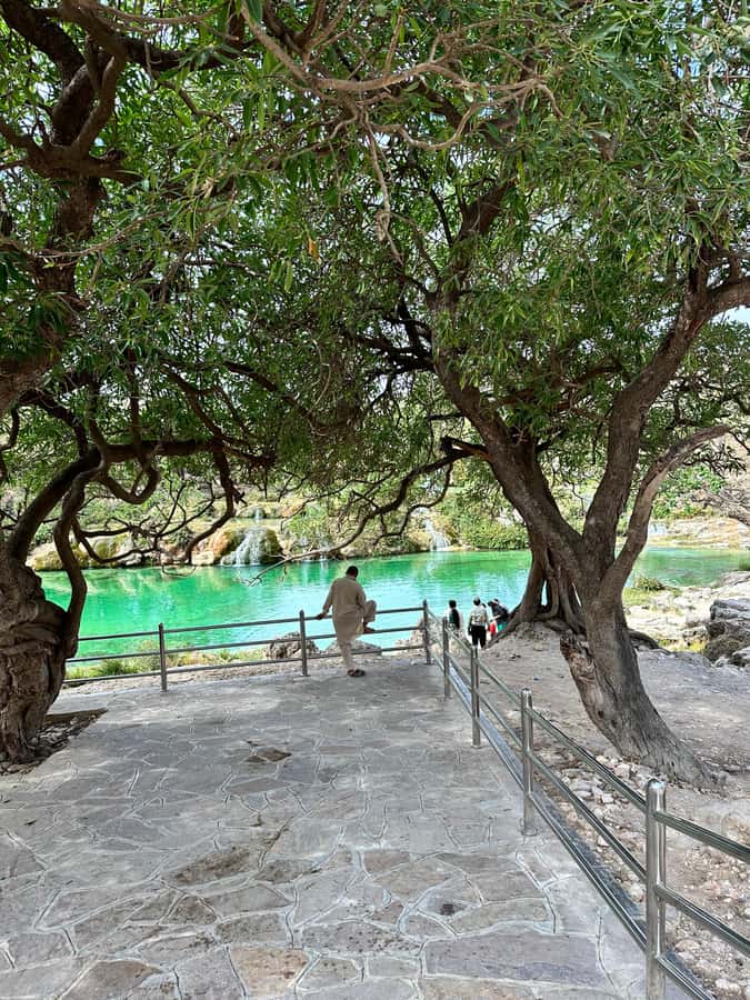 Salalah a combination of East and West tour - Western Salalah changes the scenery again