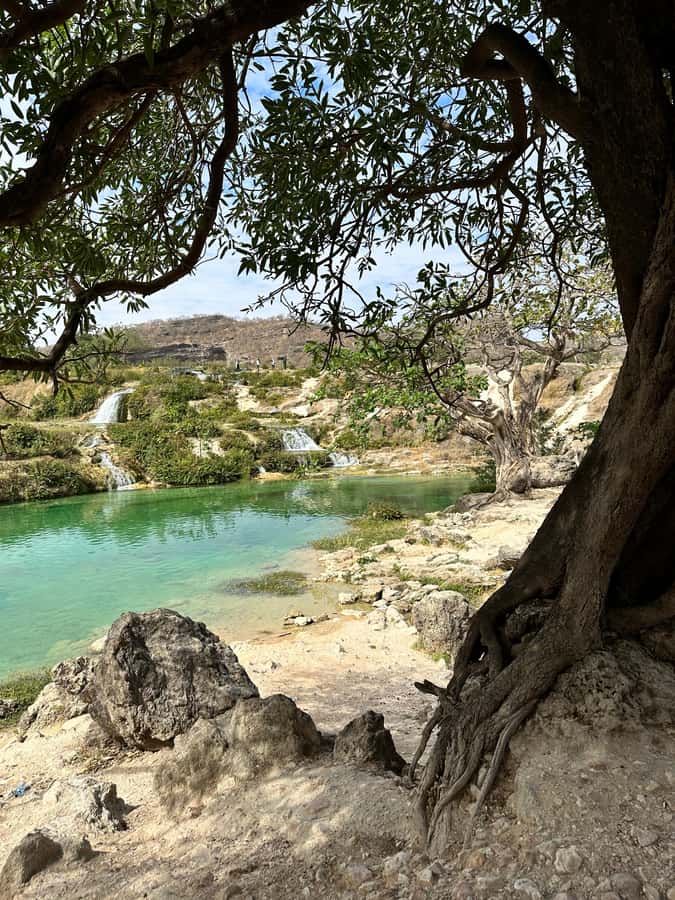 Salalah a combination of East and West tour - Wadi Derbat brings a greener Dhofar