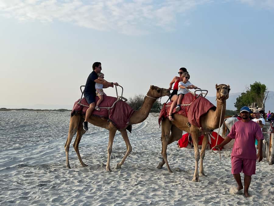 Salalah: Camel Riding on the Beach - Key points to know before you book