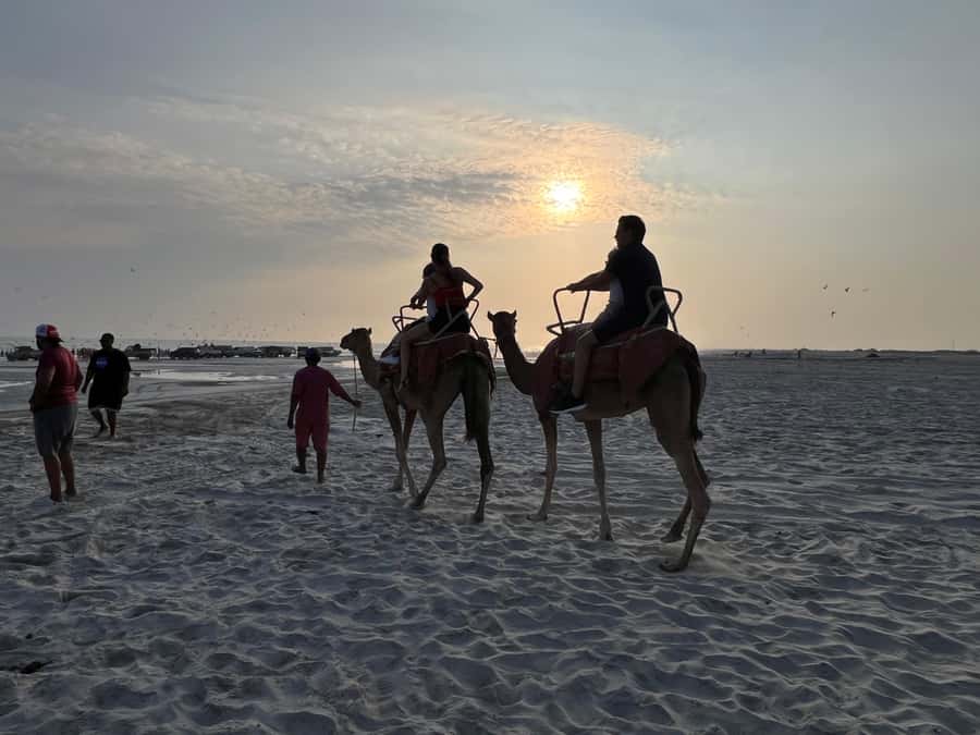 Salalah: Camel Riding on the Beach - A quiet camel ride beside Salalah’s Indian Ocean