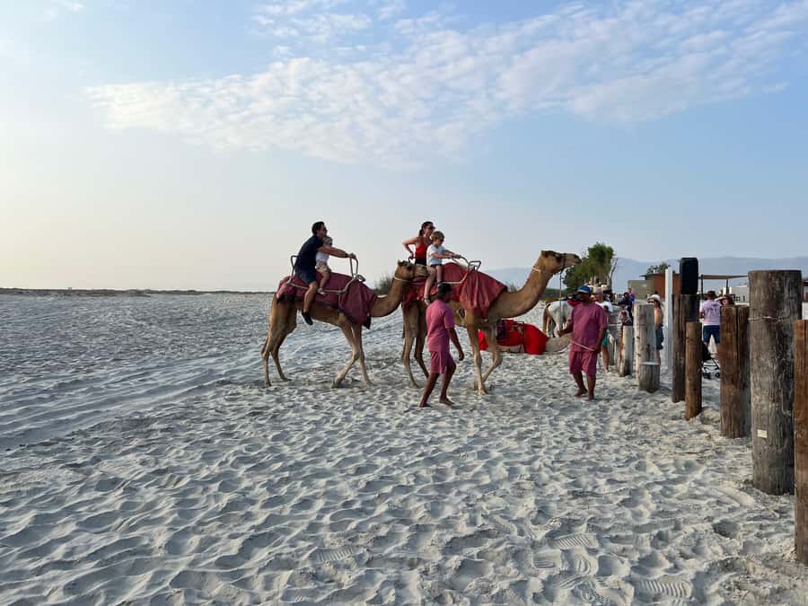 Salalah: Camel Riding on the Beach - Mounting up, then settling into the rhythm
