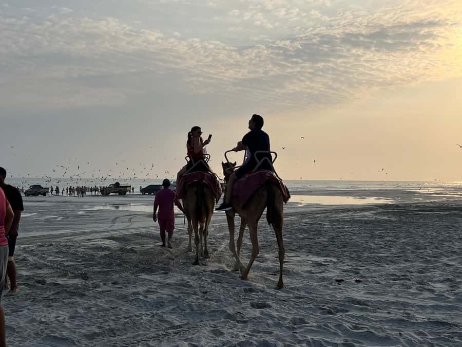 Salalah: Camel Riding on the Beach - What can go wrong, and how to reduce the risk
