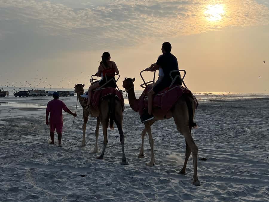 Salalah: Camel Riding on the Beach - Meeting the camels at the beach club