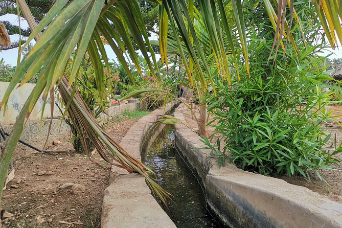 Salalah City private tour - all-inclusive sightseeing tour - Drinks, snacks, and practical comfort