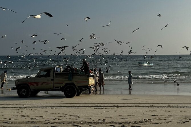 Salalah City Tour: Discover Salalahs Treasures with a Local Guide - Who should book this Salalah outing?
