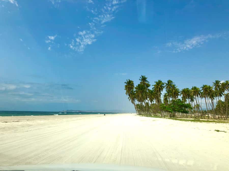 Salalah City Tour: Discover the Best of Oman’s Coastal Gem - Why this short Salalah tour works