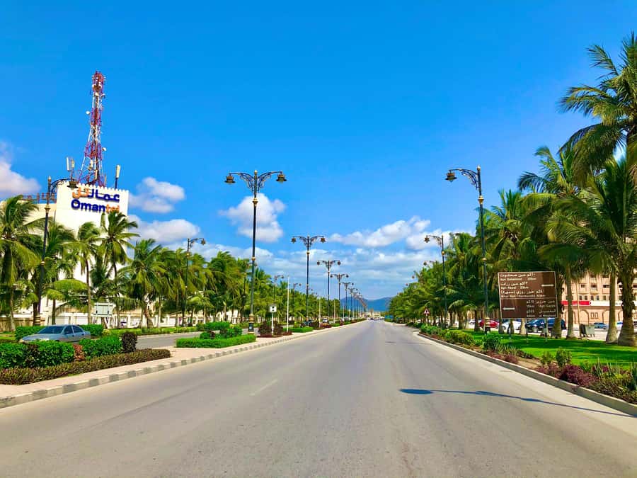 Salalah City Tour: Discover the Best of Oman’s Coastal Gem - Al Hosn Palace gates and a glimpse of royal Salalah