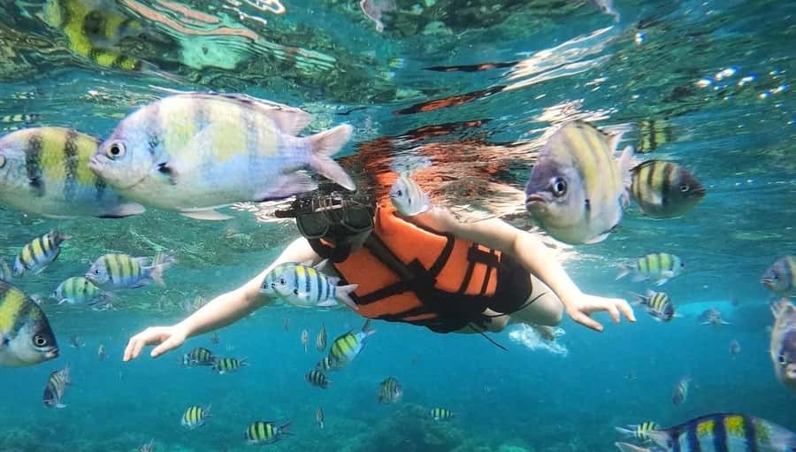 Salalah: Discover Mirbat's Snorkeling Paradise Guided Tour - Reaching Mirbat from Salalah