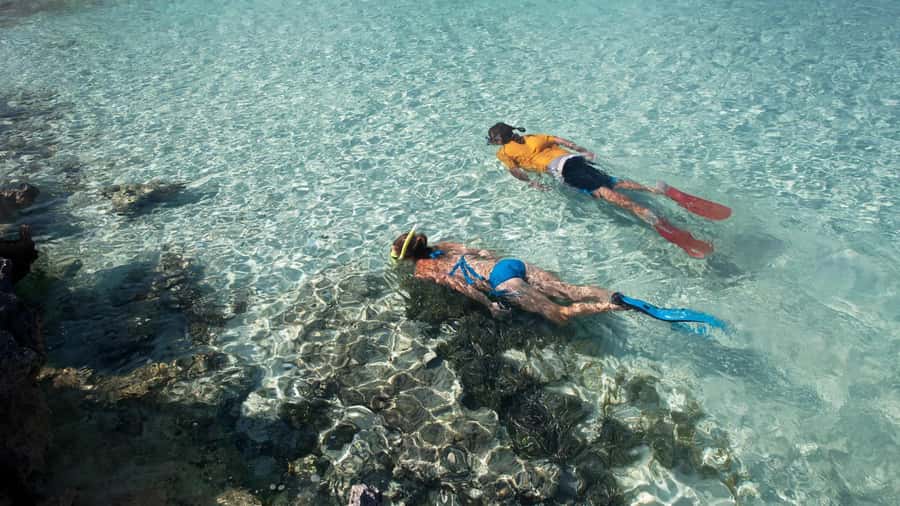 Salalah: Discover Mirbat's Snorkeling Paradise Guided Tour - A family-friendly outing with clear limits