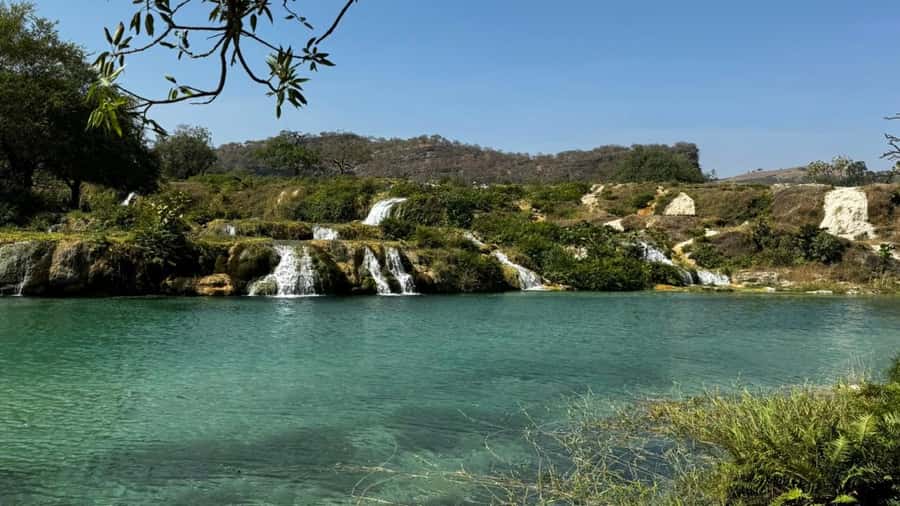 Salalah East Adventure: Waterfalls, Mountain & Safari - The baobab trees and a change of mood